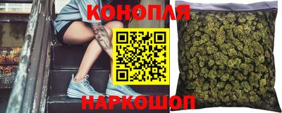 индика Славгород